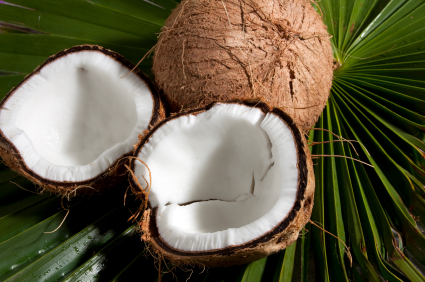 iStock_000014918529XSmall