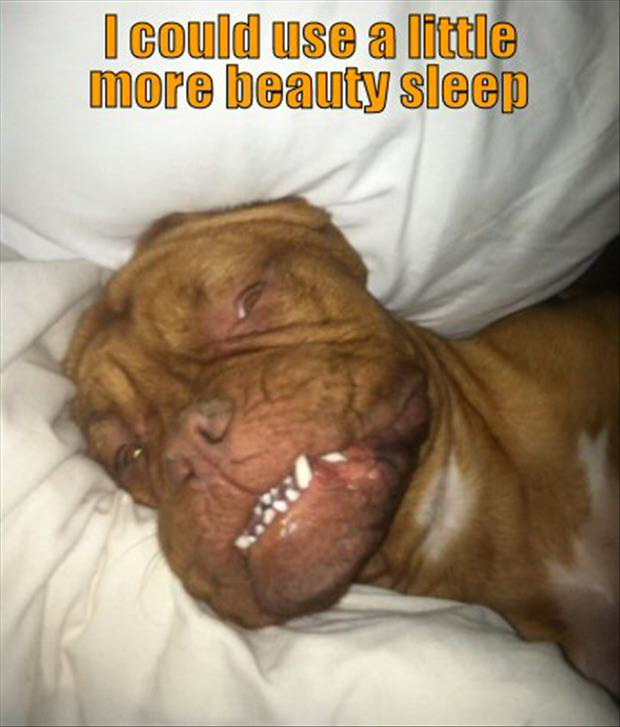 Sleeping Beauty…..